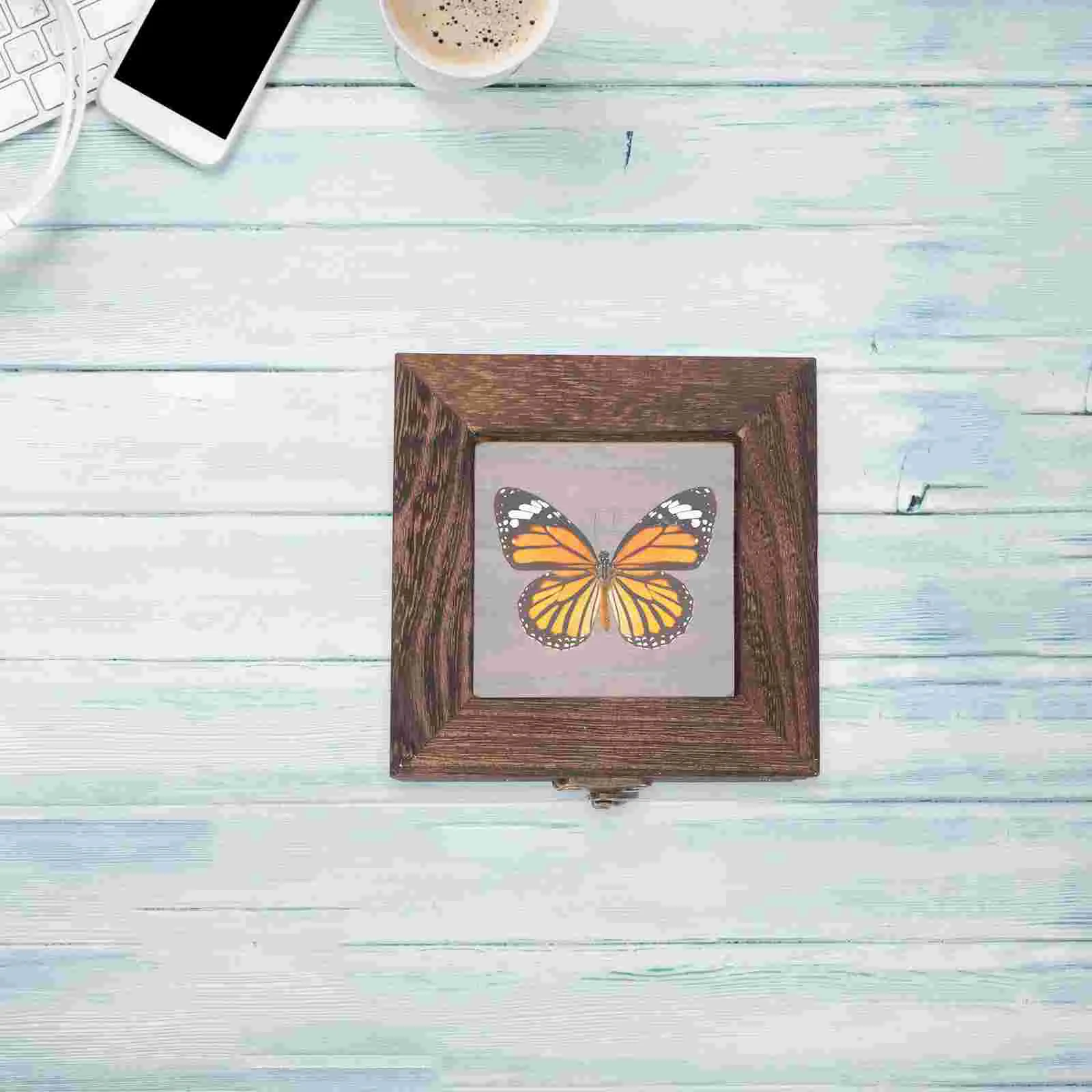 Butterfly Display Case Insect Specimen Box Peg Board Stand Shadowbox Frame Acrylic Office