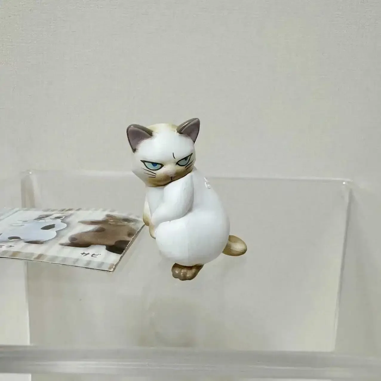 Sociale Punk Kat Schaalmodel Een Kat Met Een Felle Oog Tafelblad Decoratie Action Figure Speelgoed Nieuw
