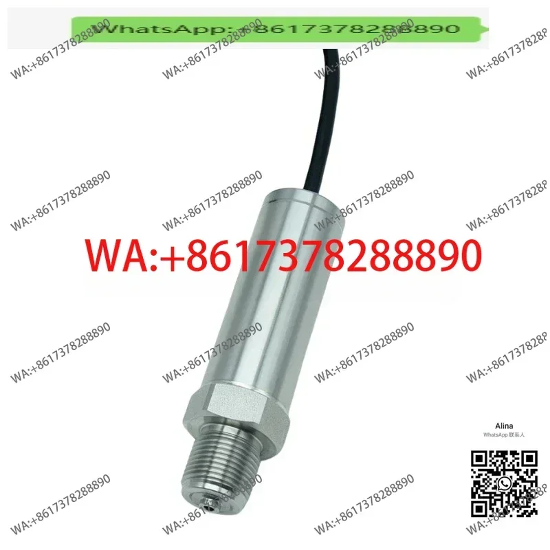 RDLY-S RDLY-S-2 Marine Cargo Hold Submerged Pressure Transmitter 0-40kpa 4-20mA High Performance