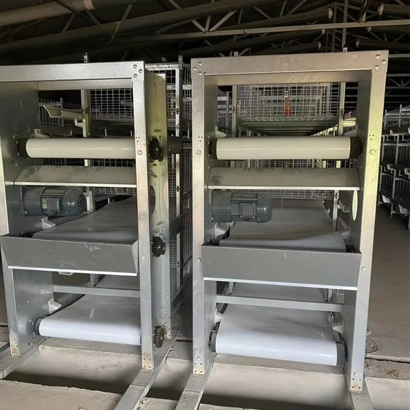 High Efficiency Automatic Manure Handling Equipment for Chicken Poultry House