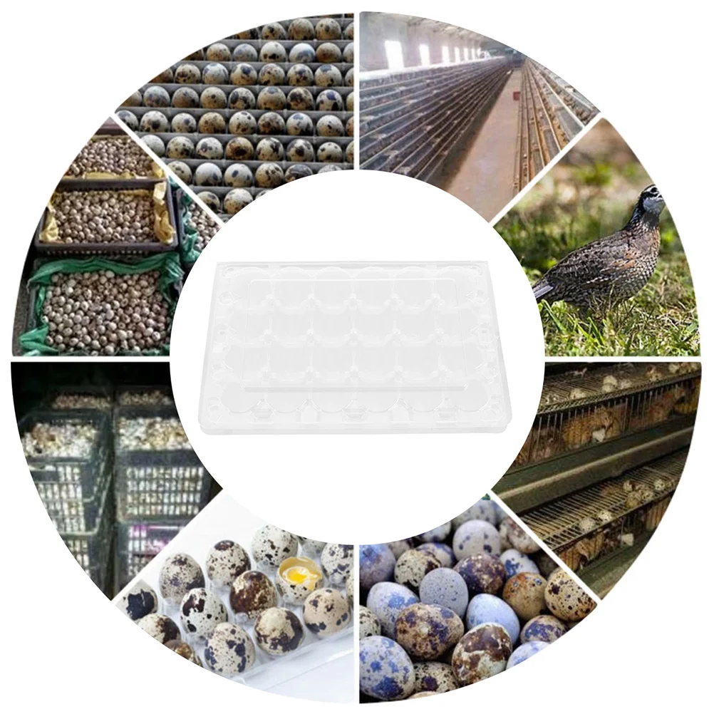 

24Pcs Quail Egg Carton Transparent Storage Box Compact Organizer Holder Large Capacity Egg Tray for Refrigerator Kitchen