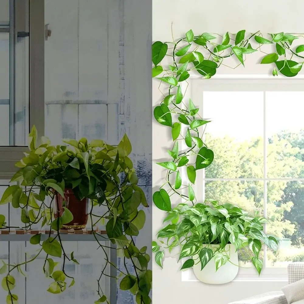 Sturdy Carbon Steel Vine Support Trellis Adjustable Chain System For Garden Patio Climbing Plant Growing Tools