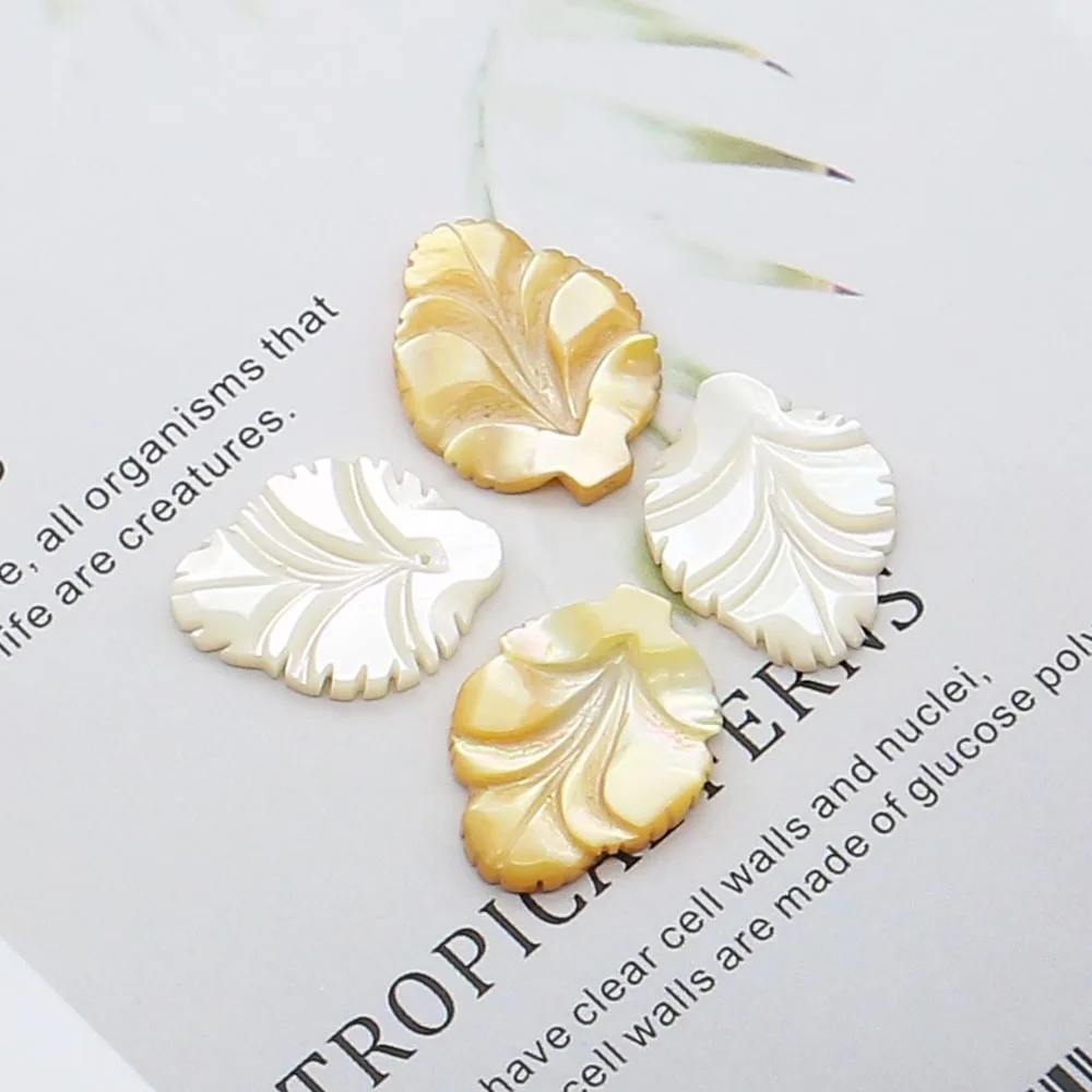 

Natural Seawater Shell Yellow Shell White Shell Leaf-shaped Straight-hole Loose Beads DIY Necklace Bracelet Jewelry Accessories