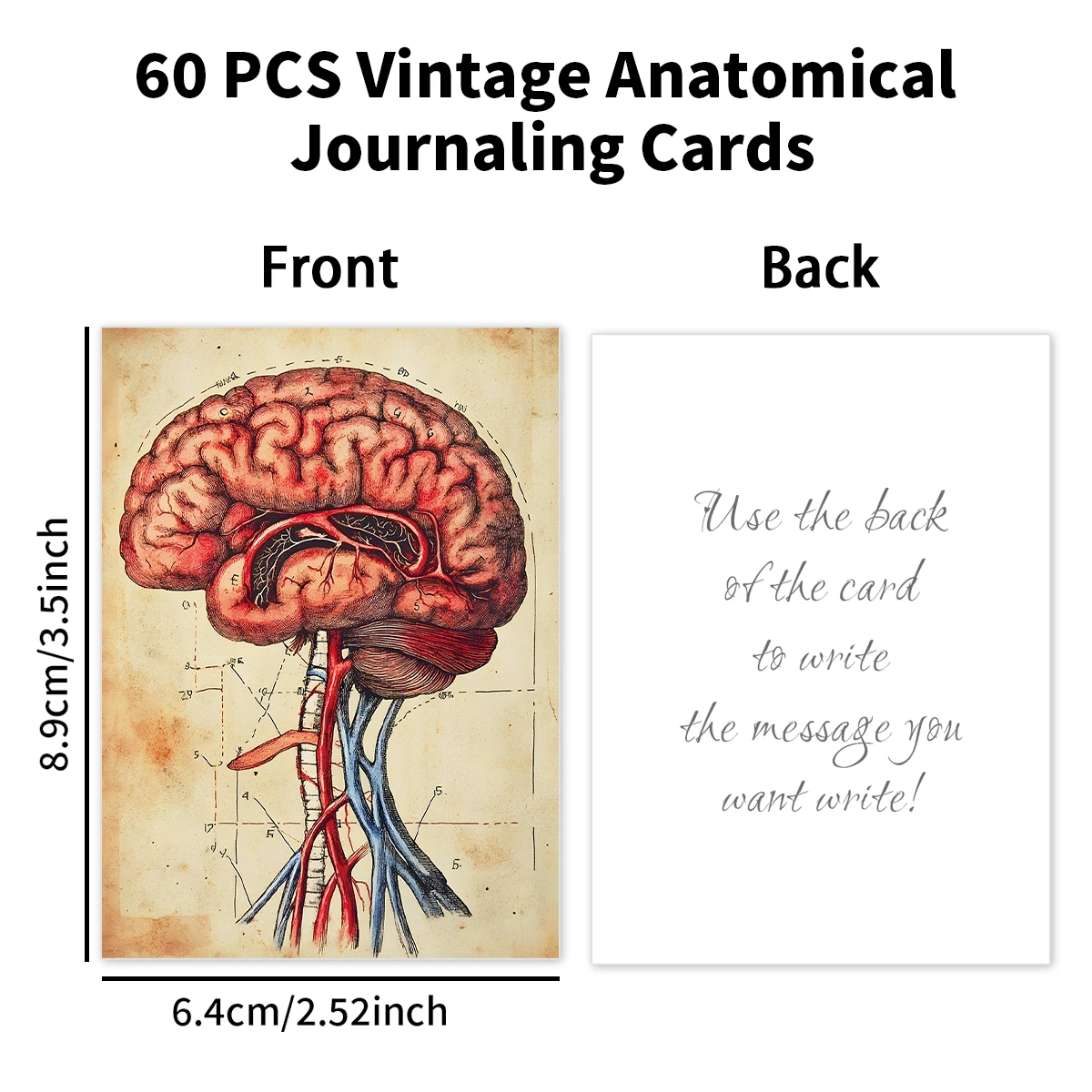 60개 빈티지 해부학 저널링 엽서, 생물학 콜라주 카드 선물, 스크랩북, 방, 사무실, 실험실 벽 장식용