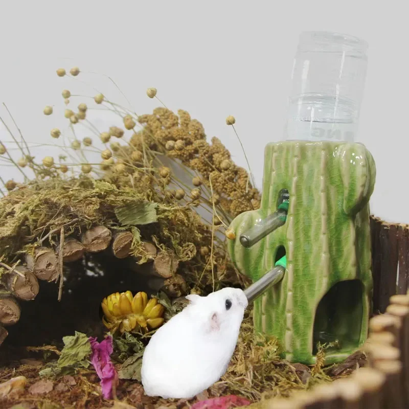 Thumbnail 2 - #12 Top 50 Hamster Habitats Worth Buying In 2026