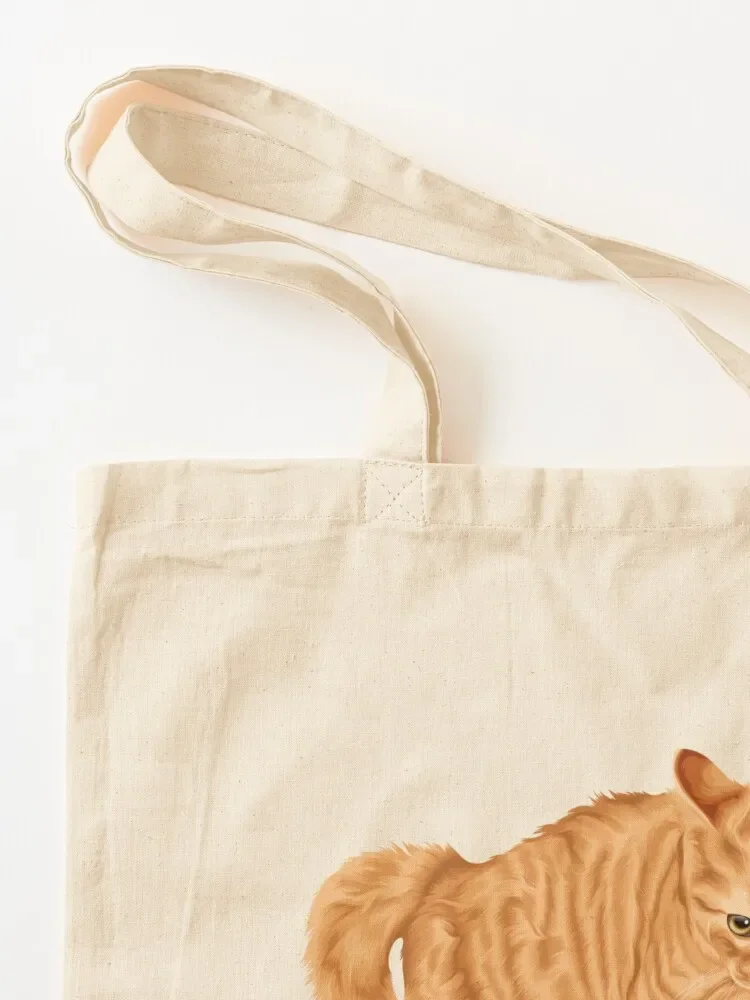 No Touchy Ginger Cat Tote Bag eco bag folding reusable shopping bag Women's handbag great