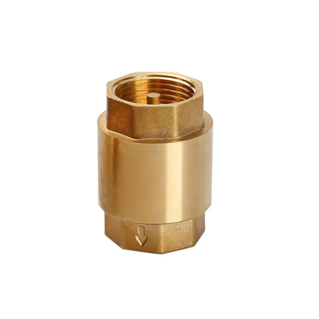 Spring Check Valve Non-return Cap Brass Stainless Steel Workmanship Rustproof Multipurpose Widely Applicable DN20