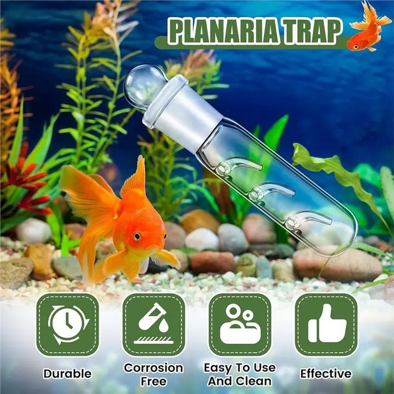 ABGH-Planaria Trap For Aquariums, Transparent Glass With 2, 3, 8 Hole Acrylic Options, Safe For Young Shrimp