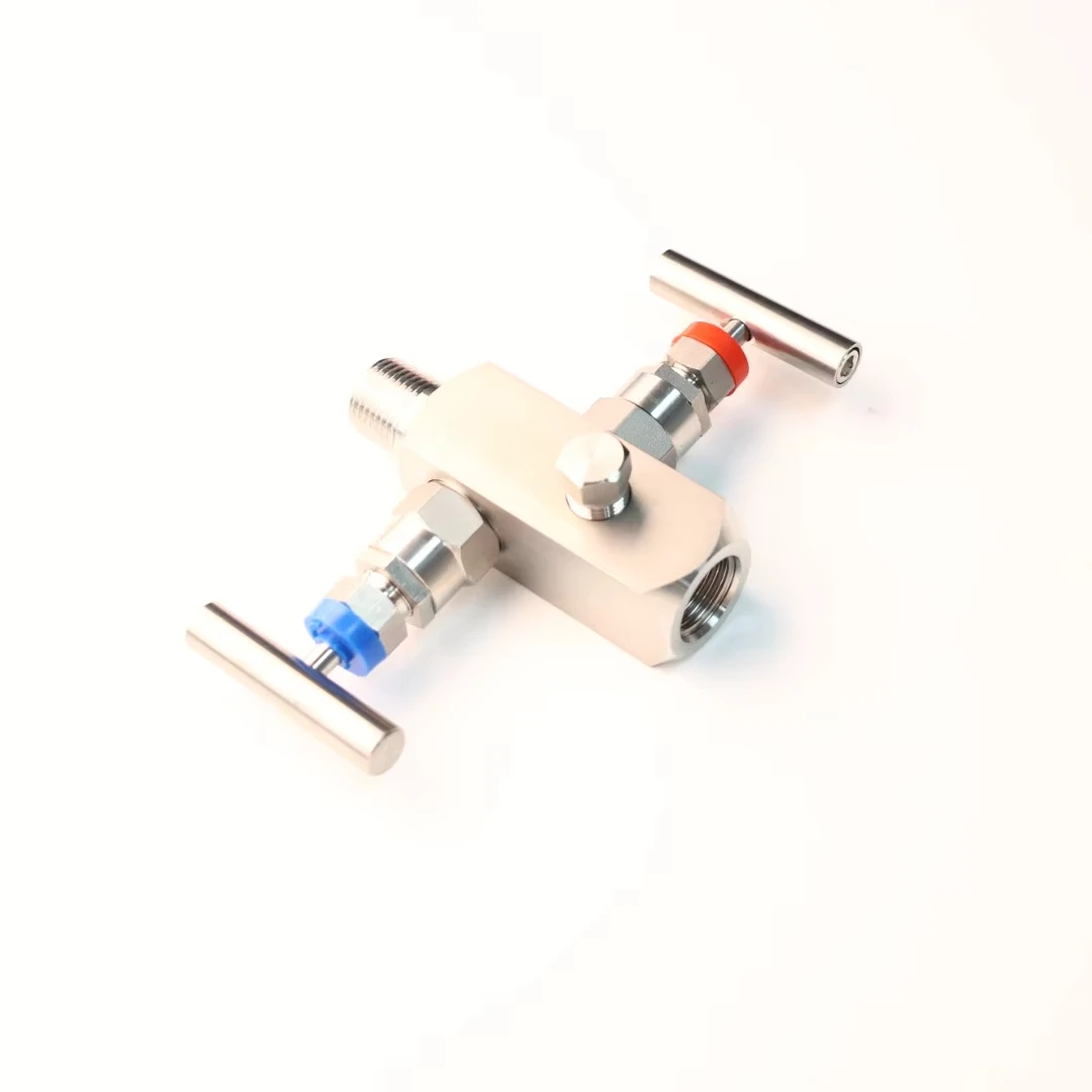 1/2npt Female and Male 6000psi Block and Bleed Pressure Gauge 2 Needle Valve Instrumentation Two Valve Block and Bleed Valves
