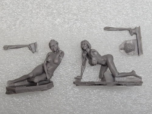 Buyer photo of this resin kit