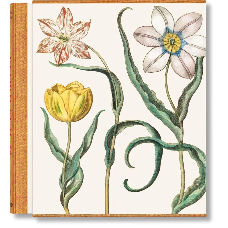 

Сад Базилилуса Беслер Эichштат Вальтер Литгер Вернер Дресендерфер Тасченко 9783836594332 Книга