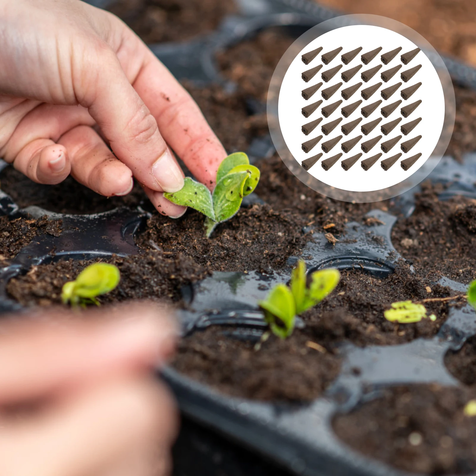 

50 Pcs Carbon Mud Soil Block for Seedling Planting Rich Nutrients Water Absorption Nursery Supplies Gardening Tools Vegetables