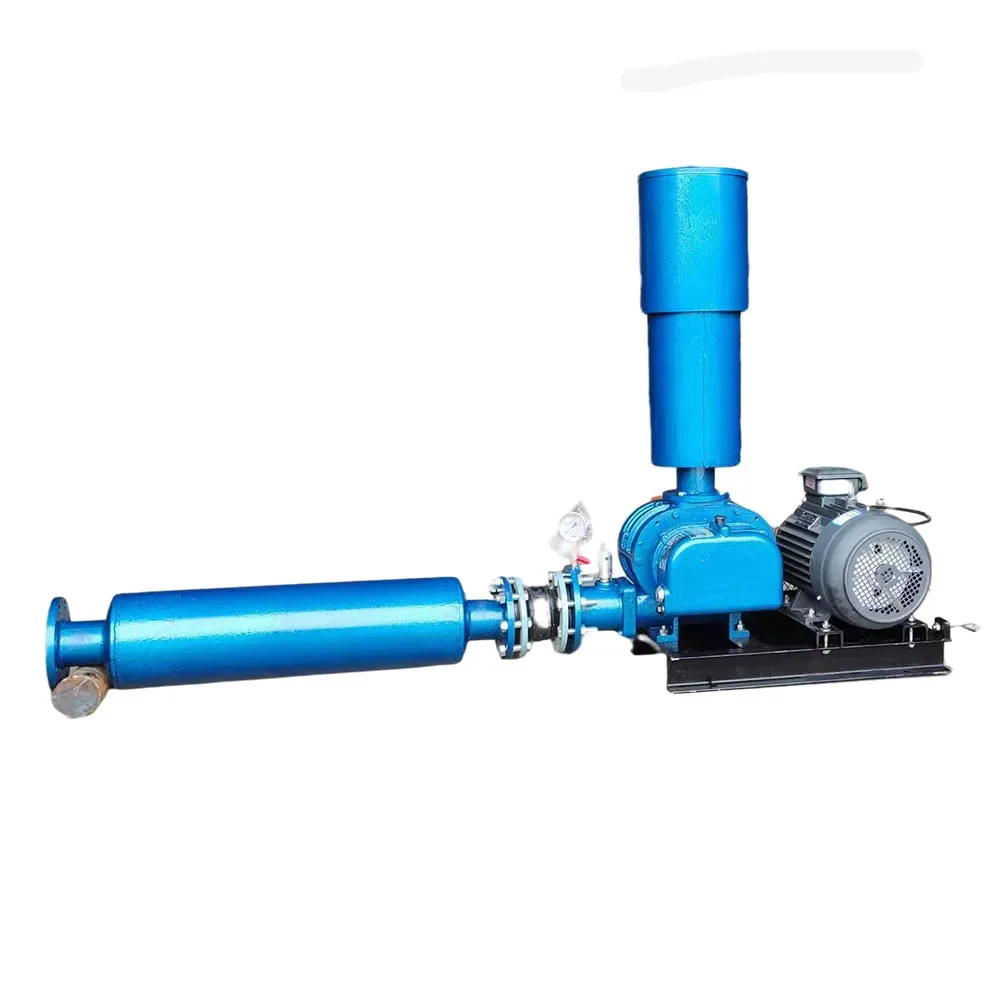 

High Quality Sewage Treatment Vacuum Industrial Air Roots Blower for Aeration