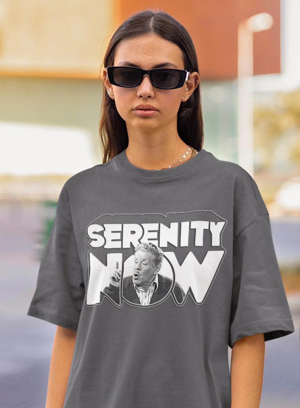 Seinfeld Serenity Now Shirt Seinfeld T Shirt Seinfeld T-shirt Seinfeld Merchandise Seinfeld Fan Tee Seinfeld Shirt Serenity