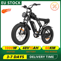 Ridstar Q20 MINI Electric Bike 1000W 20“ Fat Tire E-bike 48V 15Ah 7 Speed Electric Mountain Bike Adults Men & Women