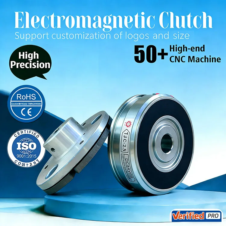 Tianji Factory Manufacturing Electromagnetic Clutch Pakistan Protect Motor Brake 24V DC 1 Year Warranty