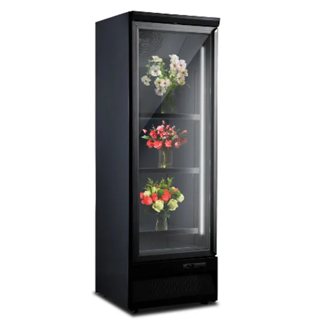 New Style Thyme Flower Room Single Door Fresh Keeping Floral Display Refrigerator