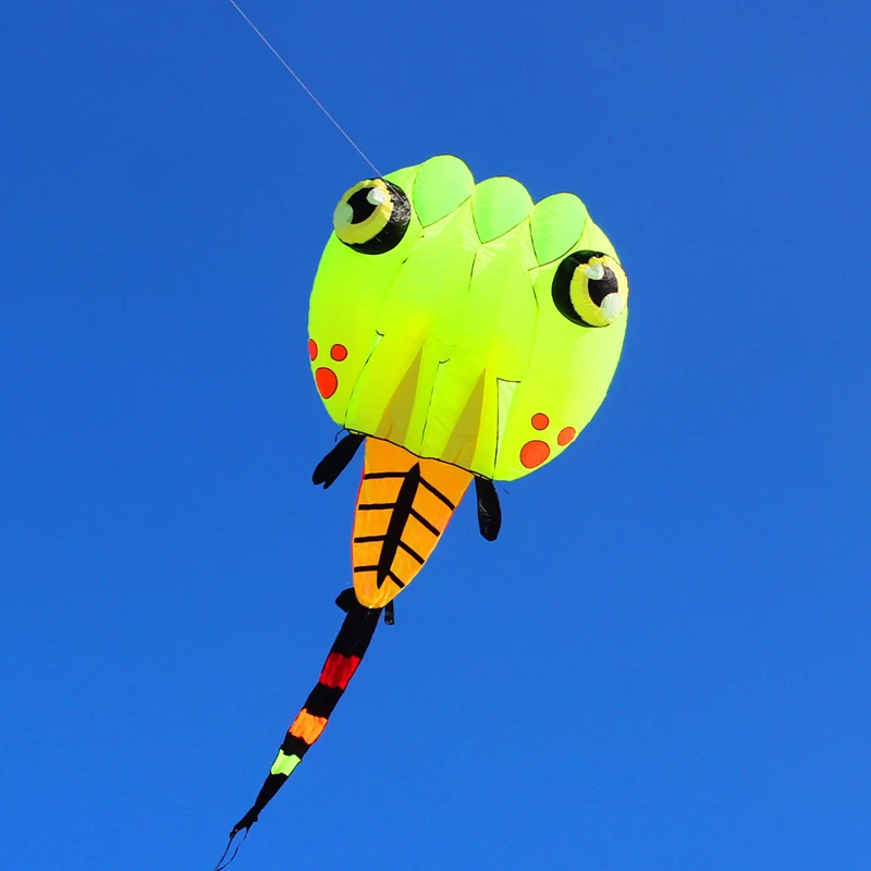 free shipping tadpole kite outdoor toys cerf volant professionnel drachen fliegen erwachsene paragliding equipment weiche kite