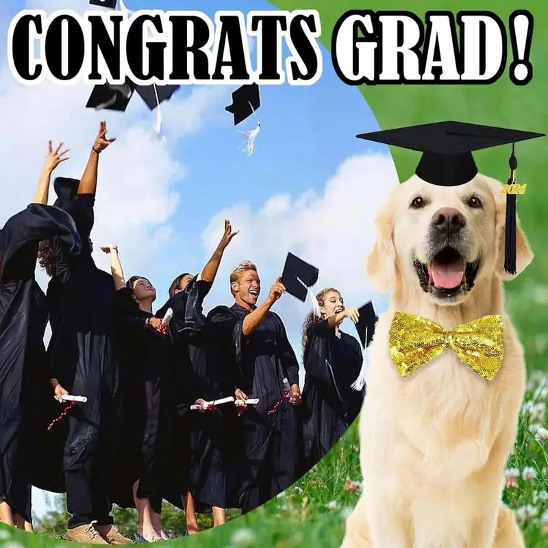 Graduation Season Puppy Tassel Doctor Hat Graduation Party Supplies Dog Graduation Hat  Dog Outfits for Celebratory Occasions