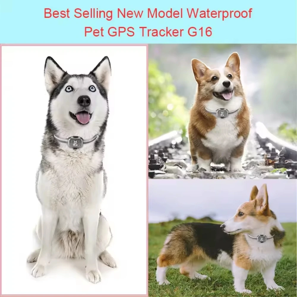 Waterproof Gps Tracker For Dogs Locator Anti-Lost Device Smart Phone Object Finder Small Alarm Pet Anti-Theft Device Collar