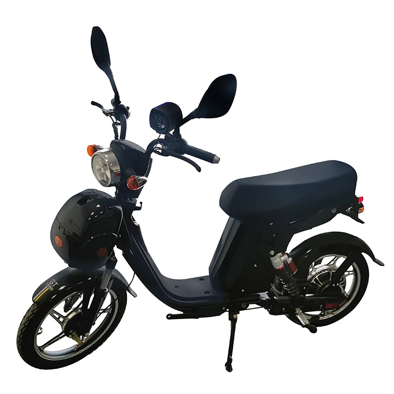 OEM,18 Inch Household Electric Bike Cargo Ebike электровелосипед 800W Lithium Battery Electric Bicycle,Manufacturer