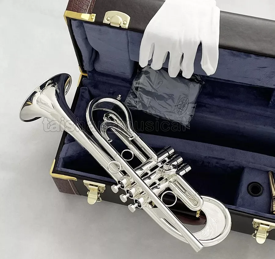 2026 New Profession… - image