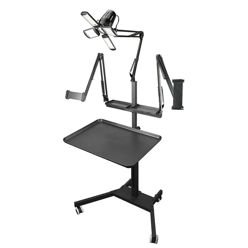TAIDU Tattoo Werkstation Met Opvouwbare Mobiele LED-lamp 60W Telefoonhouder Tattoo Tray Tafel Met Nagellamp Tattoo Werkwagen