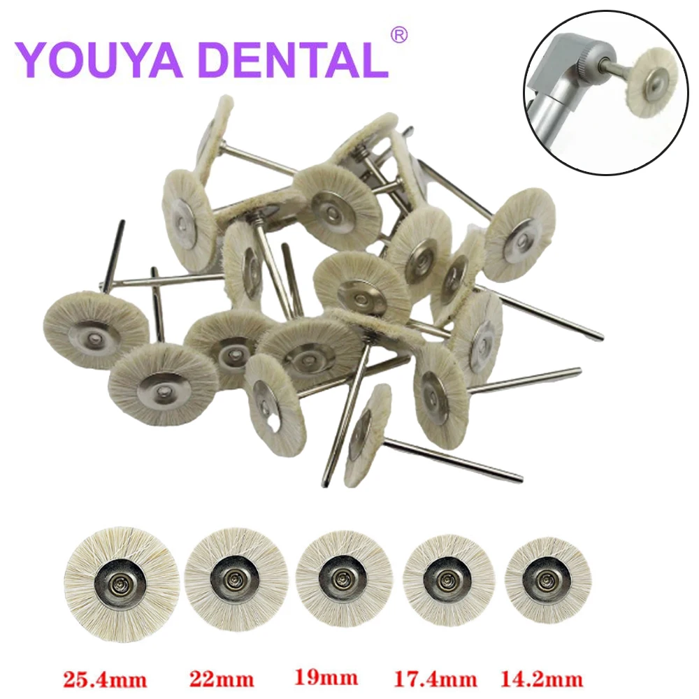 

10Pcs Dental Polishing Brush Goat Hair Polishing Teeth Polisher Brushes Buffing Pad Flat Brush For Dentistry Low Speed Handpiece