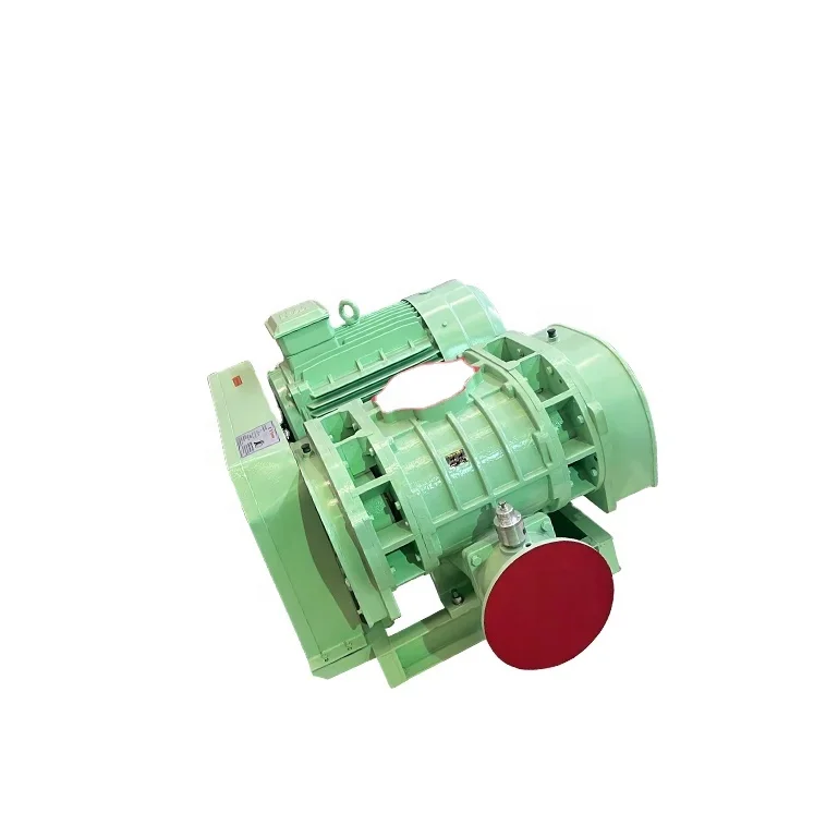 Roots Booster Pumps For Many Industrial Applications High Performance Bio Gas Roots Type Blower For Pneumatic Conveying Air Pump