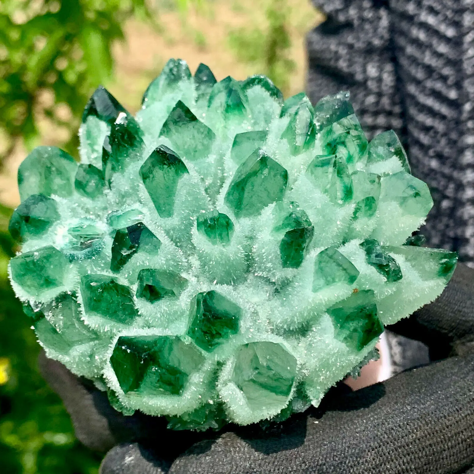 Green Phantom Crystal Cluster 5