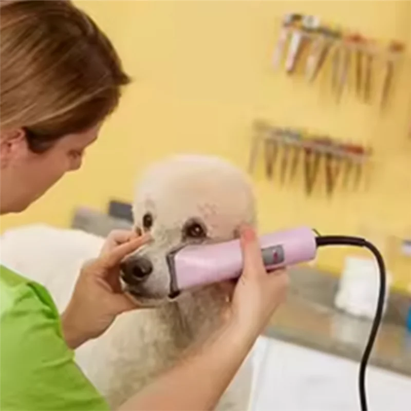 B06B-Detachable  50 Pet Grooming Blade For Andis,Oster A5 & 76 ,Wahl Km Animal Clippers Cut Length 1/125-Inch 0.2Mm