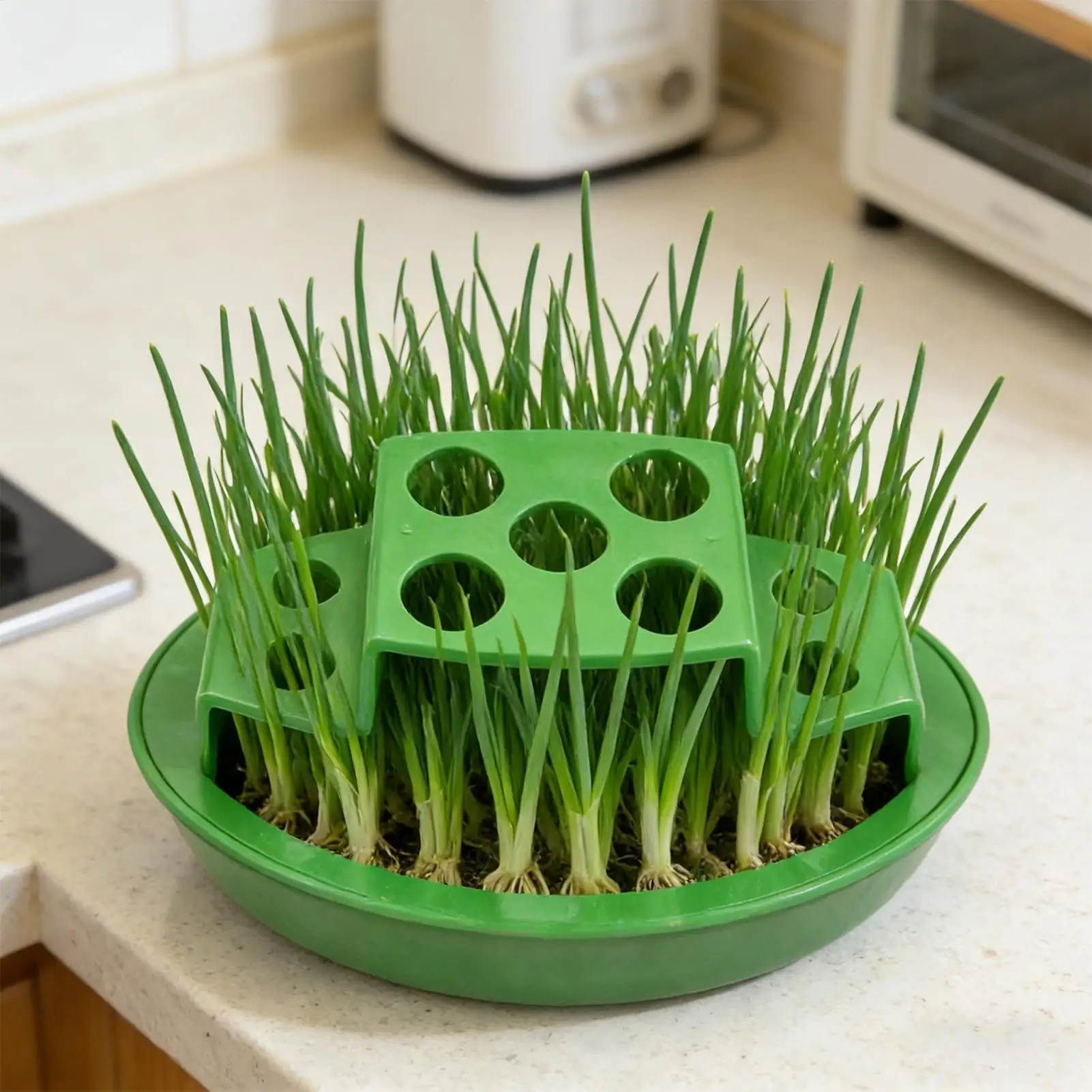 Green Onion Planter Hydroponic Growing Pot Regrow Scallion Kit For Kitchen Windowsill Balcony Vegetable Planting Container