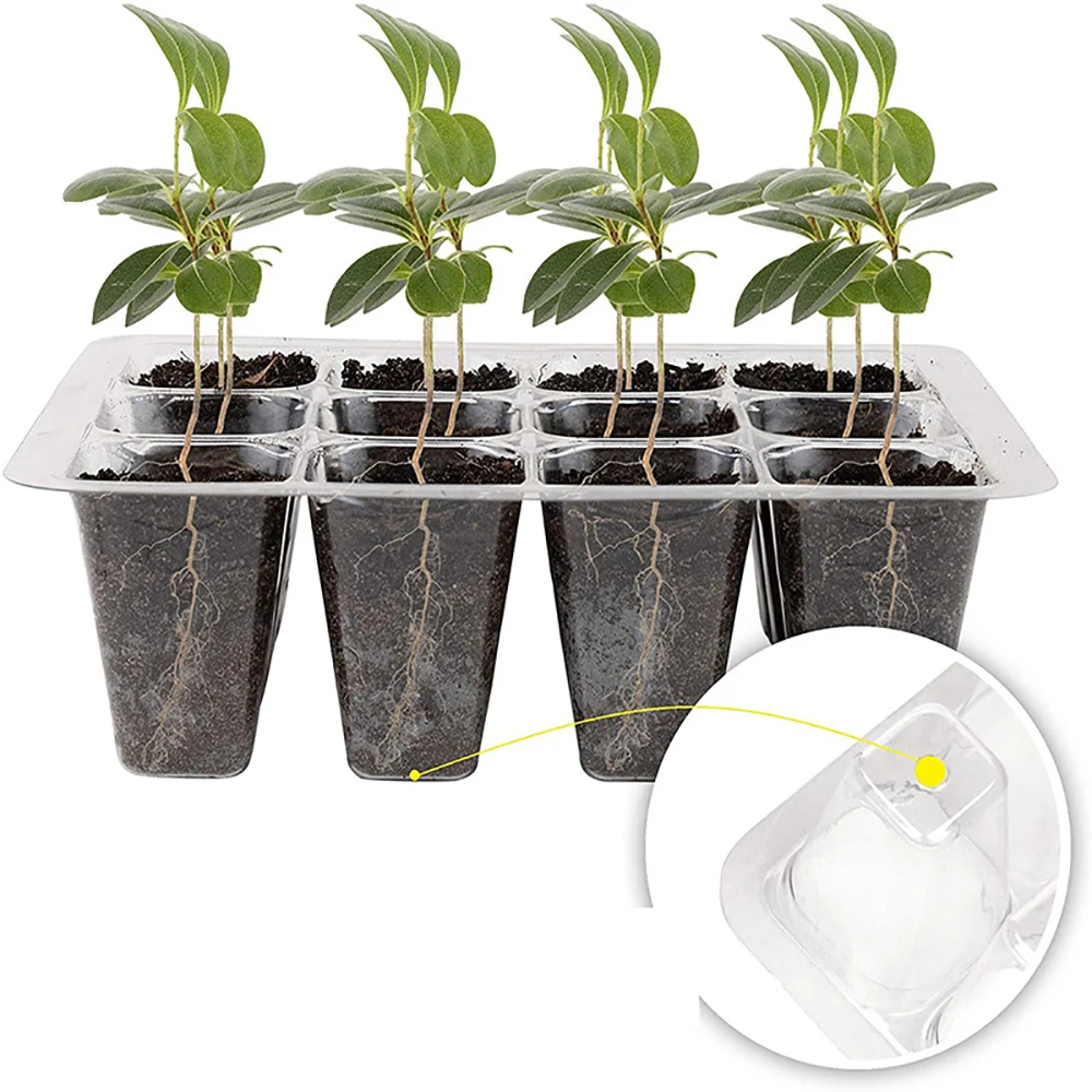 Tace startowe do nasion z oświ – Humidity Dome Kit recenzja i cena