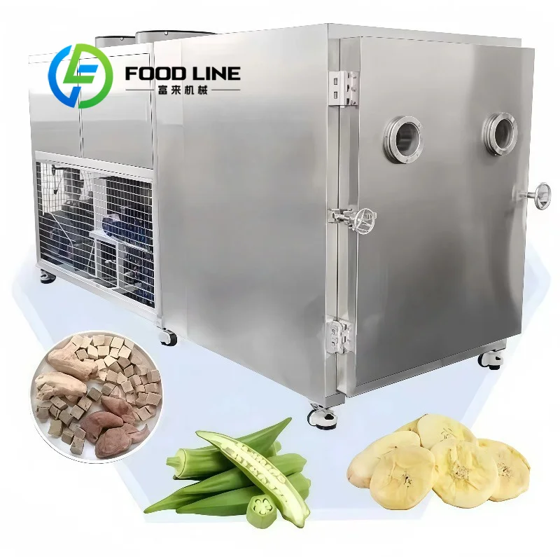 Vacuum Freeze Dryer Dustproof Electrical Control Cabinet Blocks Workshop Floating Powder From Damaging Precision Core Components