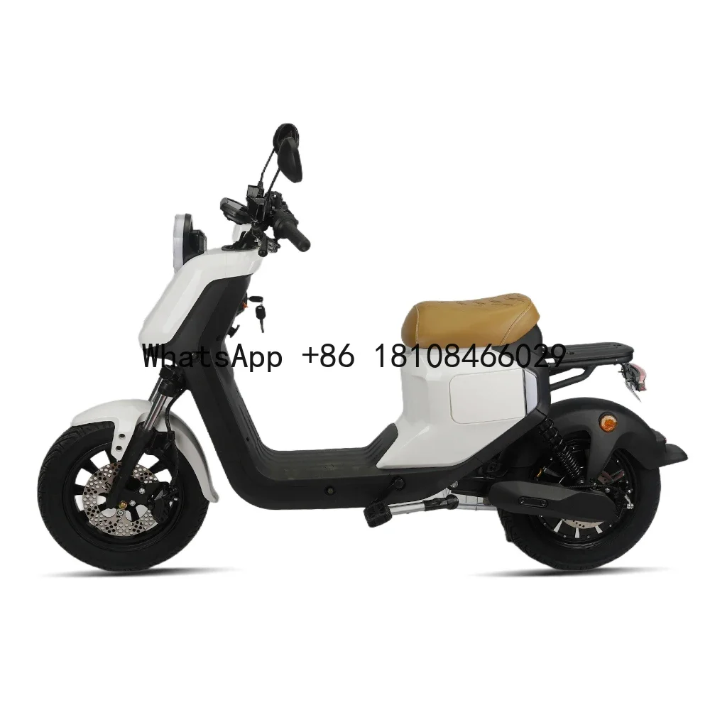 

Guangdong Manufacturer's High-Performance 1000W Electric Motorcycle Bicycle Adults Fashion 48V 21AH Steel Electronic City e-Bike