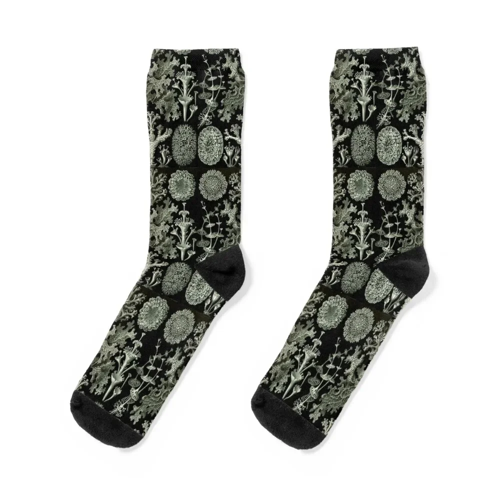 

Natural History Lichen Socks hip hop FASHION crazy Luxury Woman Socks Men's