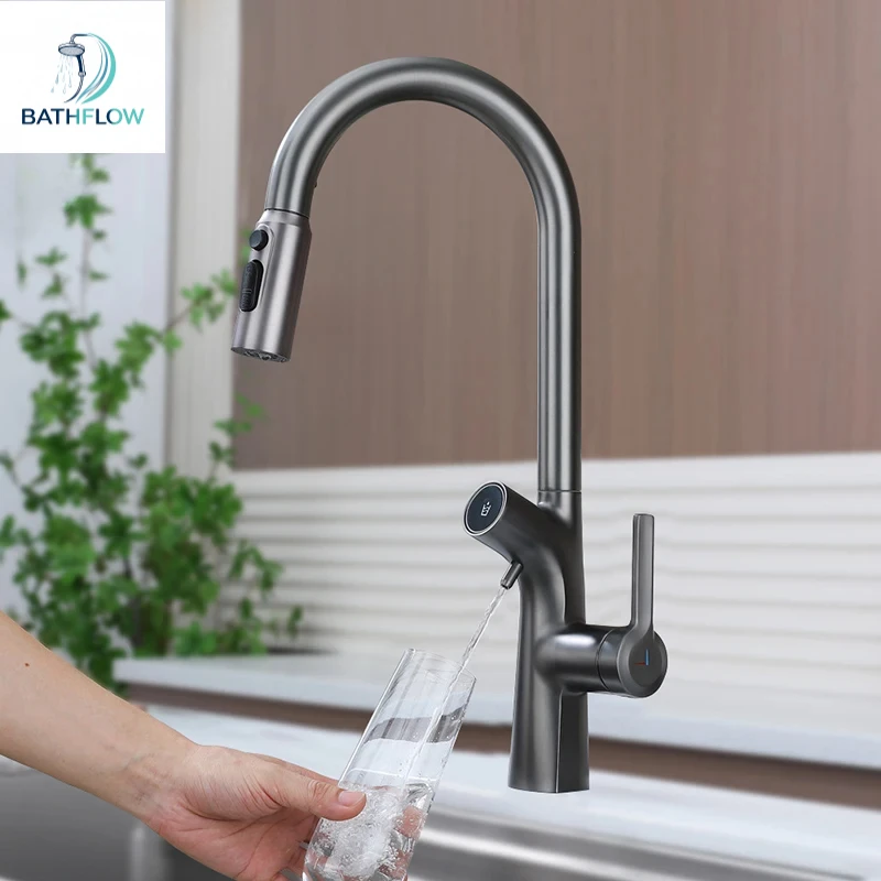 Gold Pull Out Kitchen Sink Mixer Tap Water Filter Faucet Dual Spout Pure Drinking Water Gourmet Tap