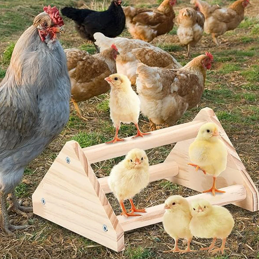 Chicken Training Frame Made Of Solid Wood Jungle Gym Can Exercise Activities Big Bird Chicks Parrot Hens Can Use Toys