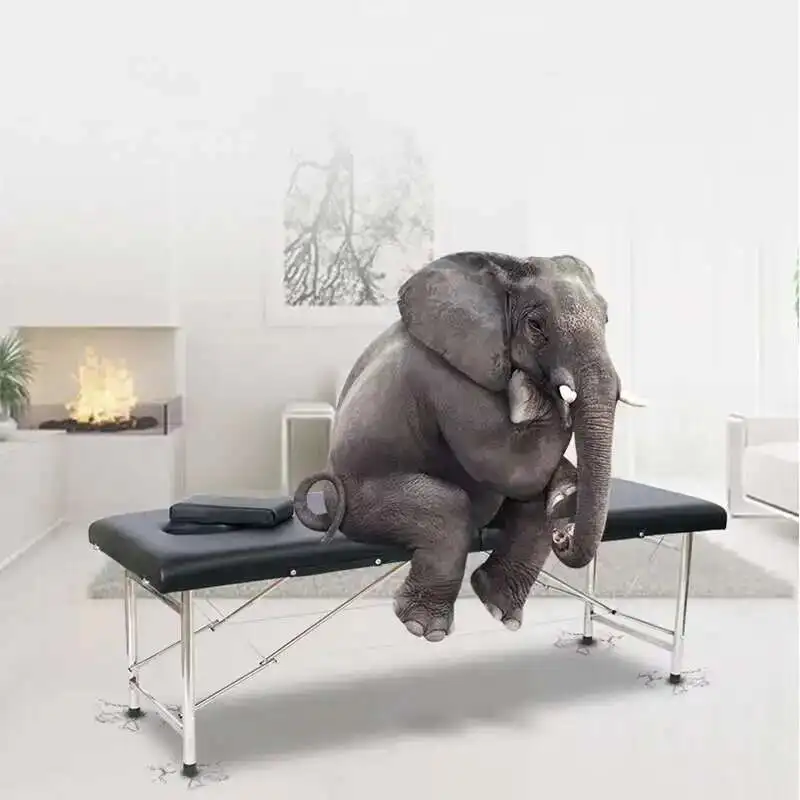 

Facial Beauty Massage Bed Lash Medical Outdoor Salon Tattoo Massage Bed Folding Luxury Spa Lit Massages Salon Furniture SR50MB