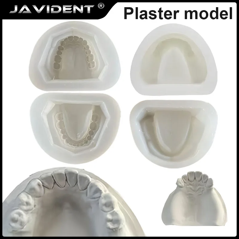 1/2Pcs Dental Materials: Standard Full-Arch Impression Trays for Edentulous and Dentate Patients; Silicone Denture Base Models