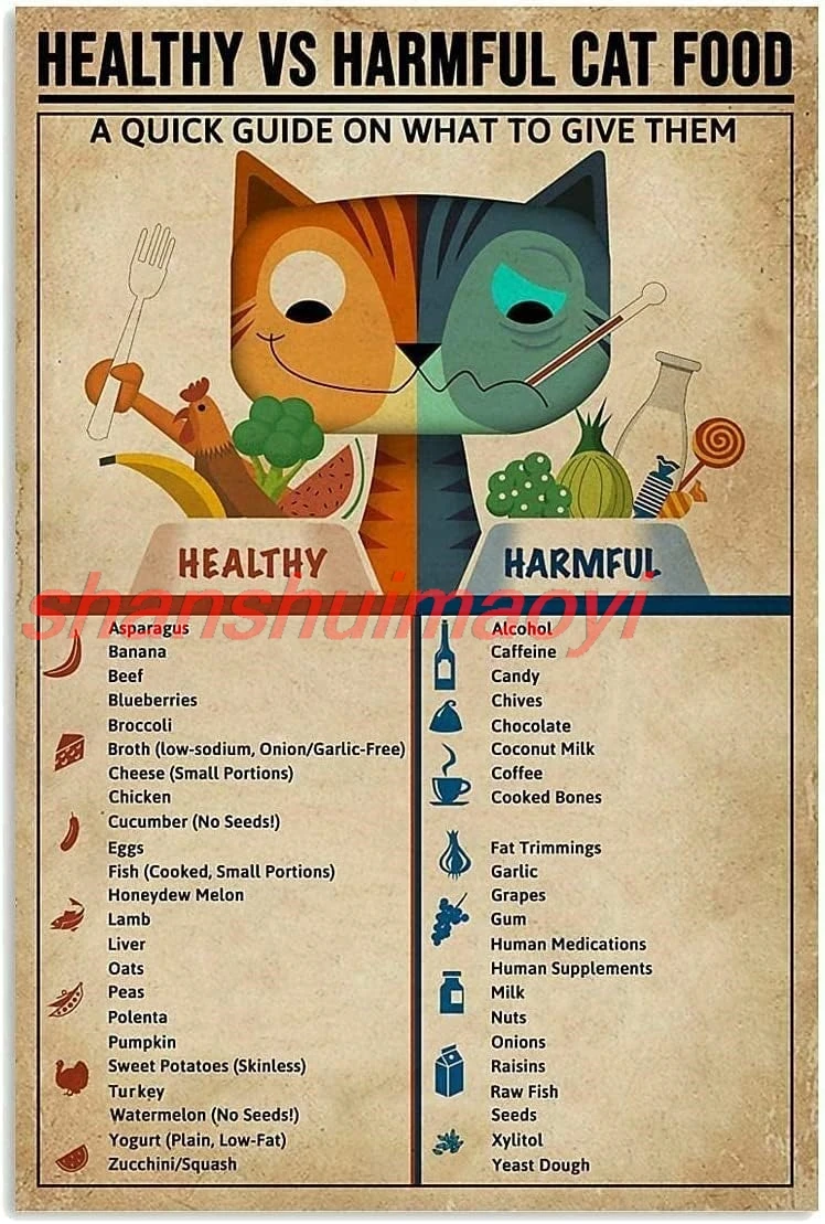 Panneaux métalliques en étain pour connaissance des aliments pour chats, Plaques infographiques pour aliments pour chats sains et nocifs, Guide de référence pour chats, affiche pour magasin d'animaux, signe sha