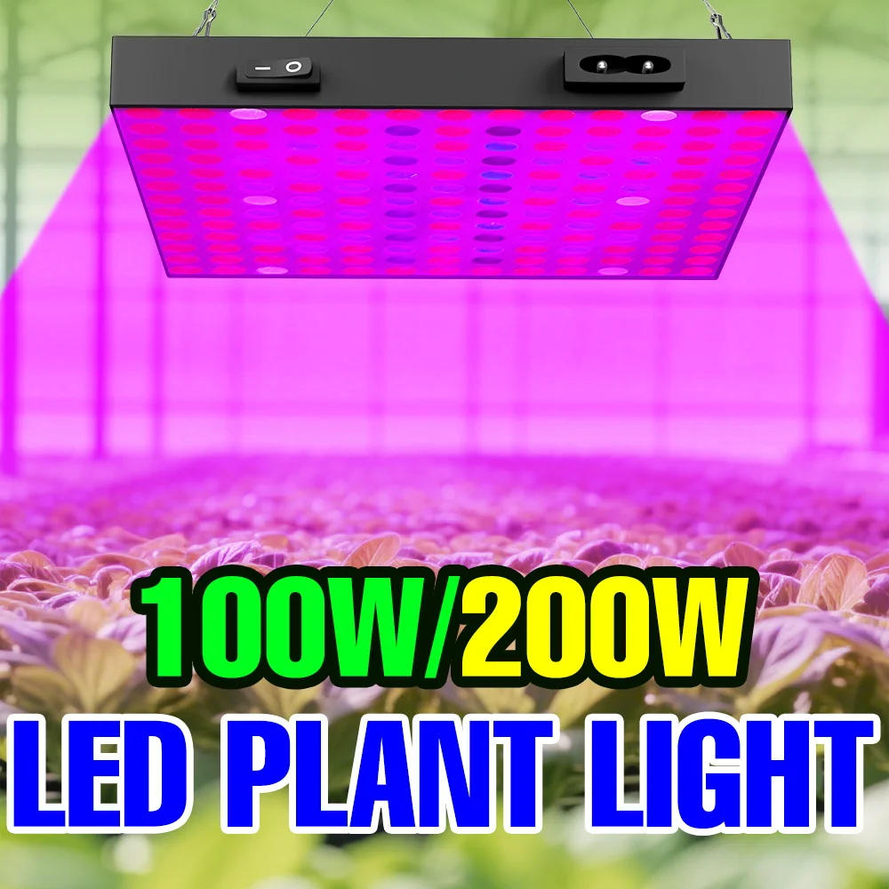 

Светодиодные фитолампы полного спектра 200 Вт для растений в помещении, для выращивания в горшках, с УФ/ИК-излучением, квантовая панель, для теплиц, для выращивания овощей и фруктов