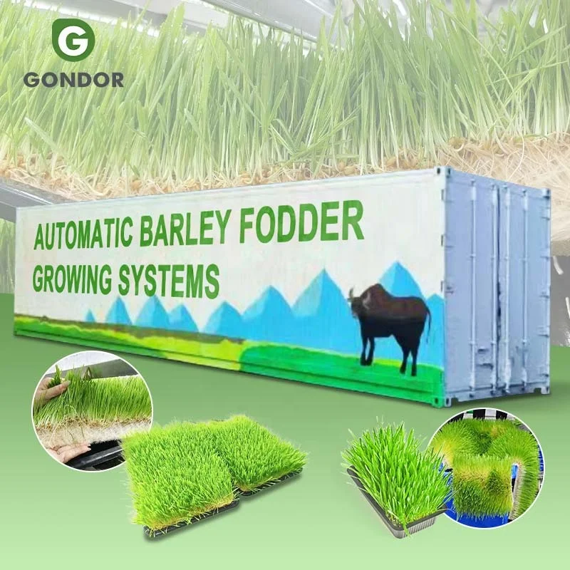 Mushroom Fodder Hydroponic Forage Fully Automatic Farm System Growing Grow Container Bean Sprout Farming Machine