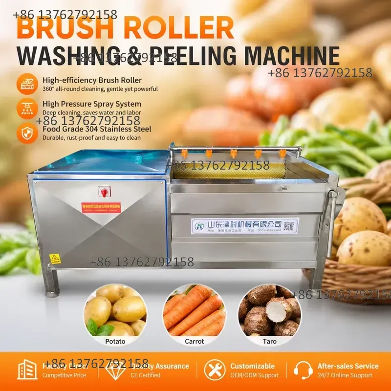 【2026】 Stainless Steel Brush Roller Cleaning Machine for Potato, Sweet Potato and Vegetable Washing and Peeling