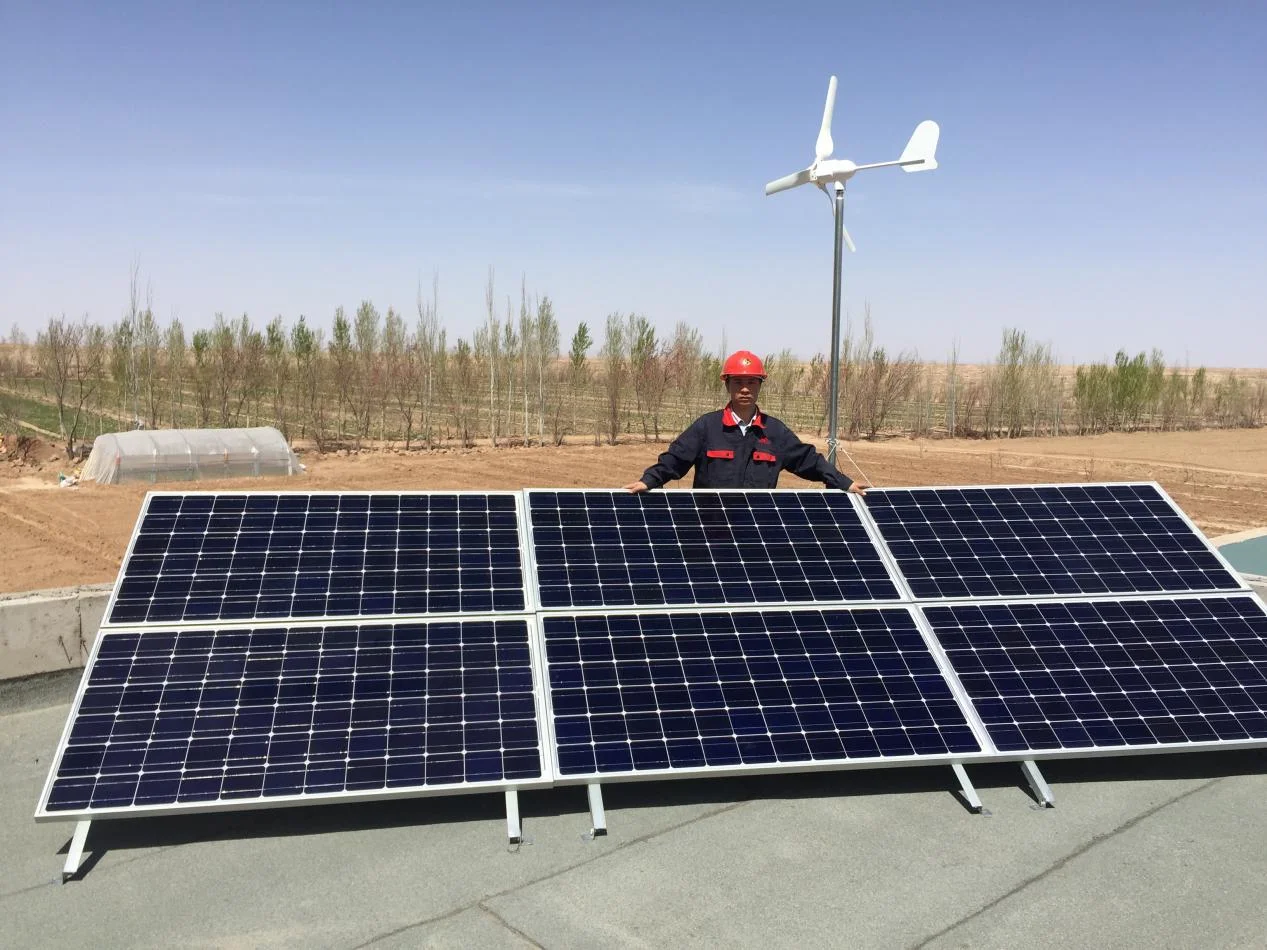 Complete Home Solar Energy System Wind Solar Hybrid Power System with Lithium Battery & Solar Panels