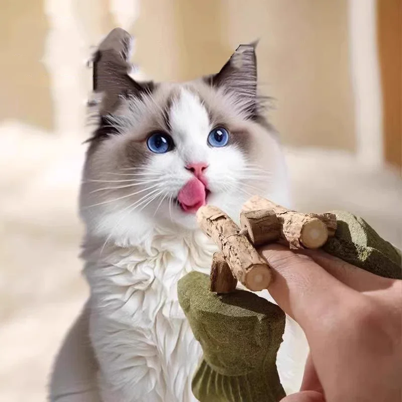 Zabawki dla kotów z kocimiętką w kształcie kulek, śmieszne kośćki rybne, zabawki do lizania, przysmak z kocimiętką i srebrną winną, zabawka do żucia dla kociąt, czyszczenie zębów, artykuły dla kotów.