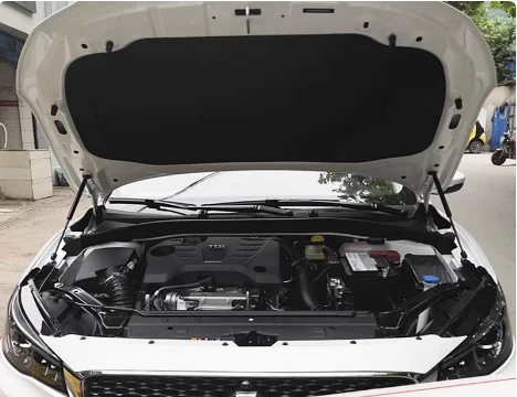 1 Set Gas Struts for MG6 eMG6 2nd 2016-present Front Hood Bonnet Modify Lift Support Damper Shock Absorber Prop Rods