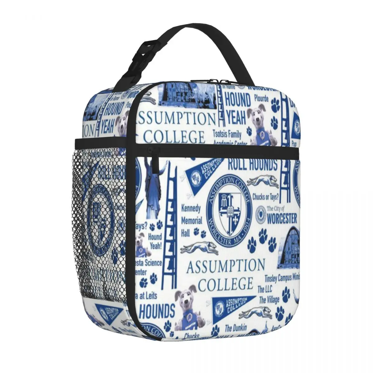 Bestselling Assumption College Pattern Travel Style Food Cooler Bag School Field Trip Office Lunch Bag
