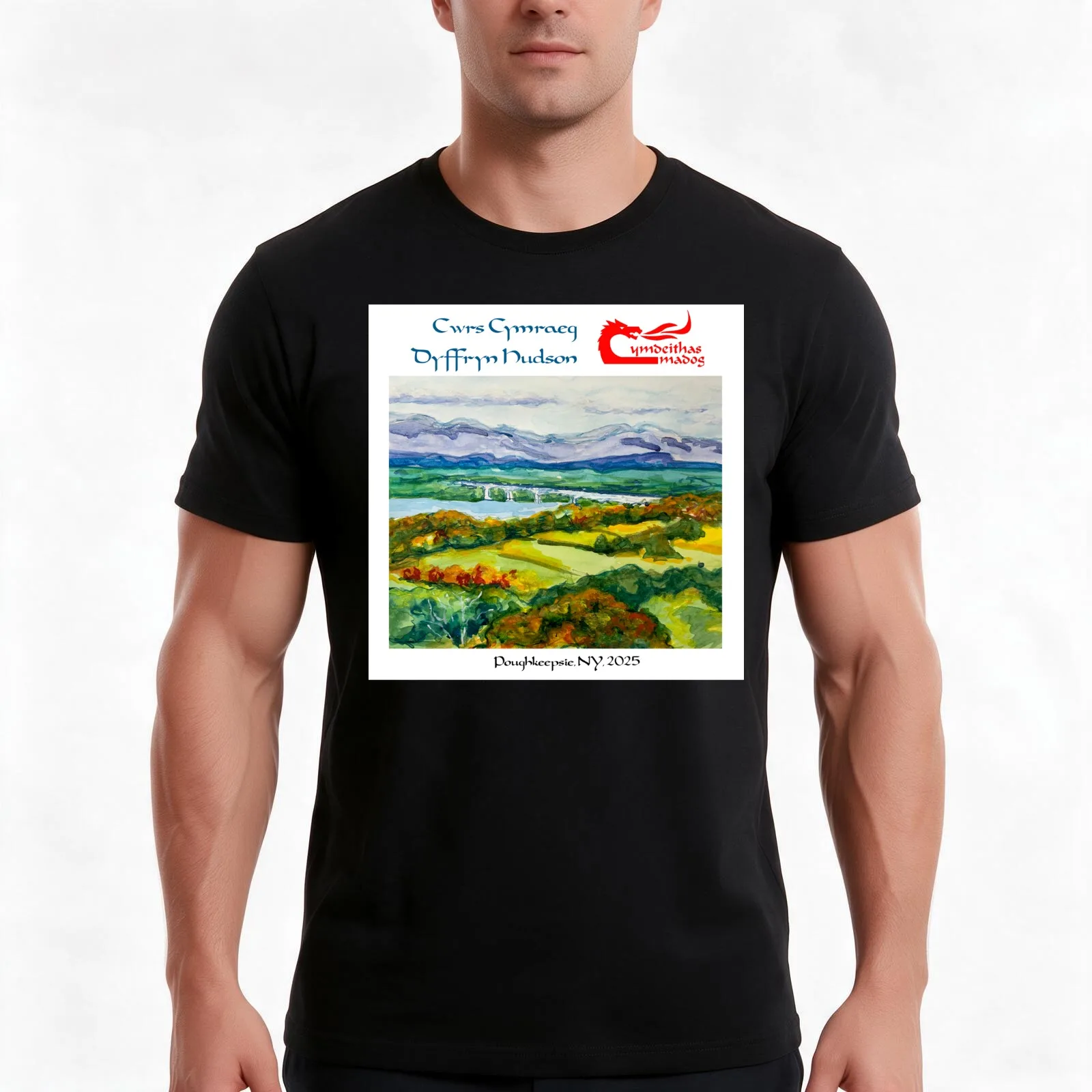 Hudson Valley Welsh Course; Cwrs Cymraeg Dyffryn Hudson, Summer 2025 T-Shirt, Summer Casual Cotton Tee, Vintage Graphic Print