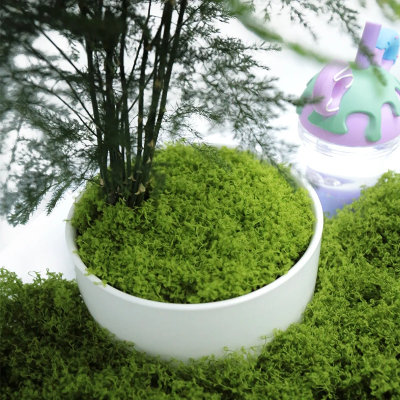 

50g Fake Moss DIY Crafts Grass Artificial Moss Faux Preserved Moss Green Plants Home Room Garden Decor Mini Landscape Fake Grass